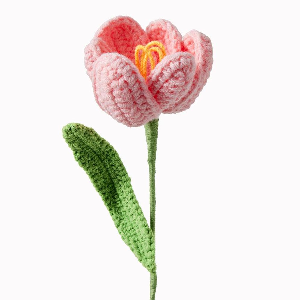 Light Pink Tulip