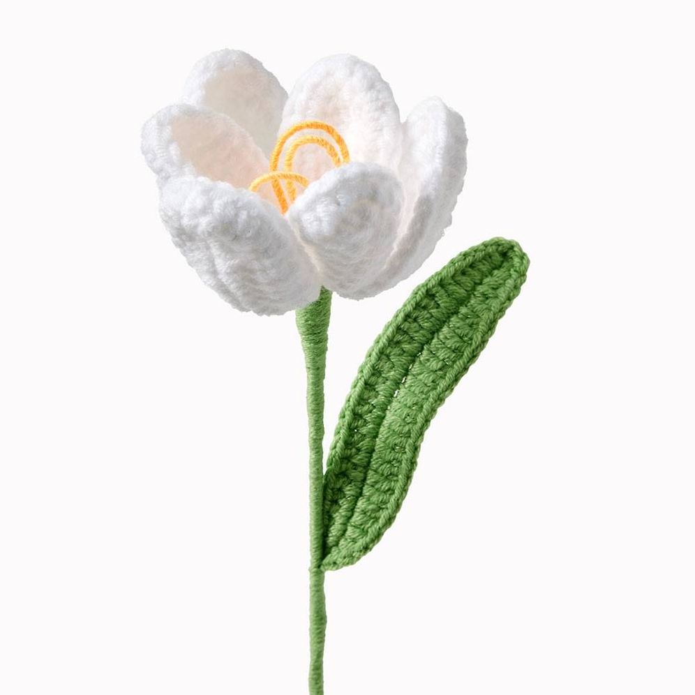 White Tulip