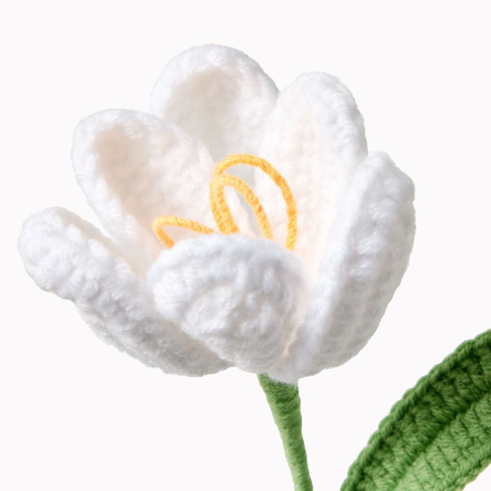 White Tulip