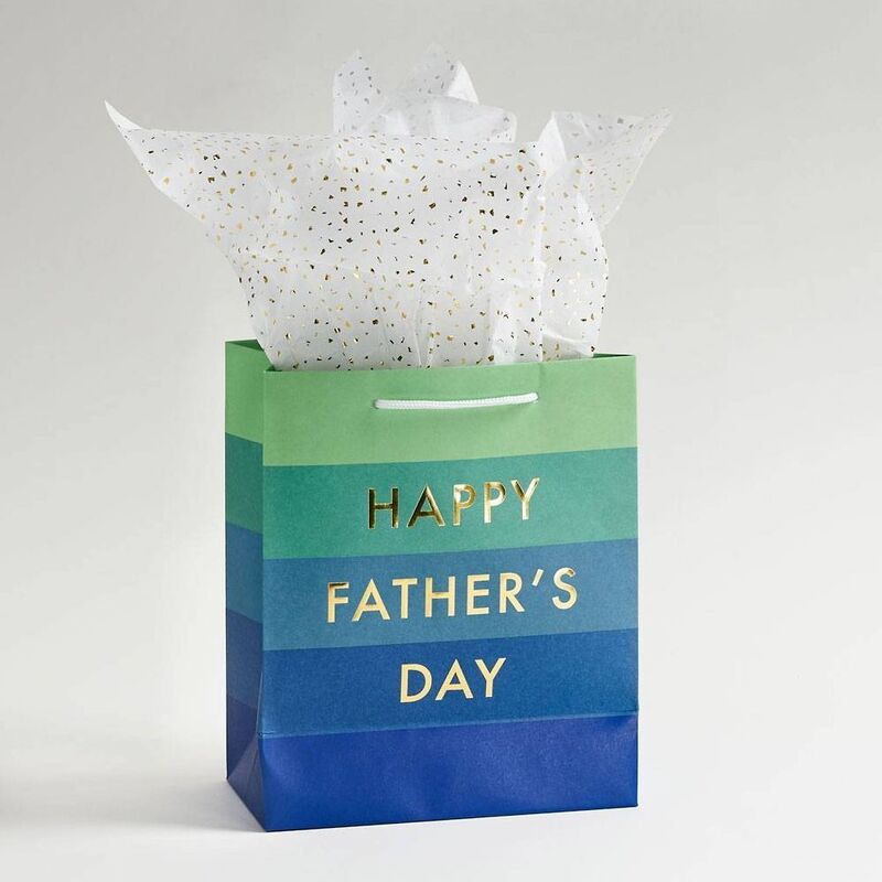 Happy Father's Day Medium Gift Bag