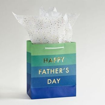 Happy Father's Day Medium Gift Bag