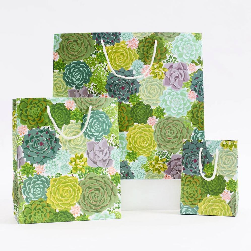 Small Succulent Gift Bag