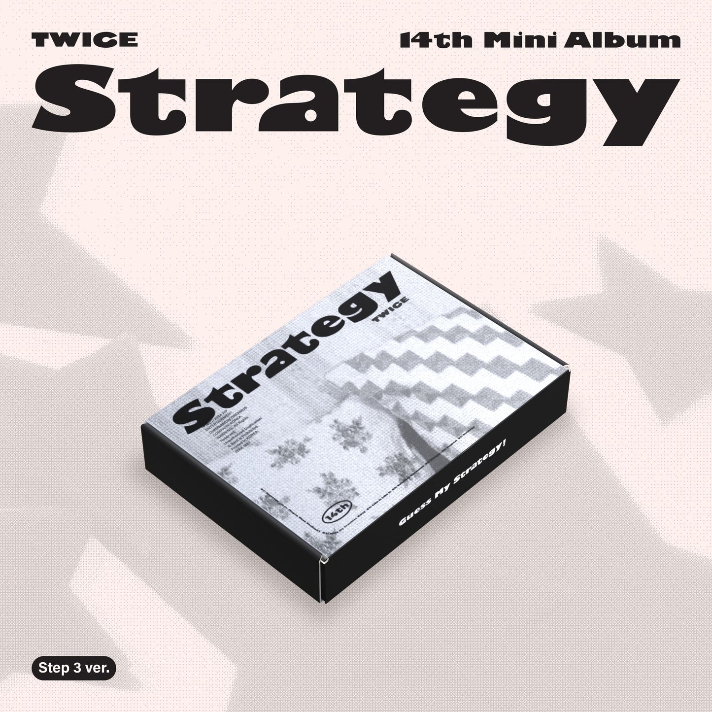 Strategy (Step 3 Ver.) (Twice)
