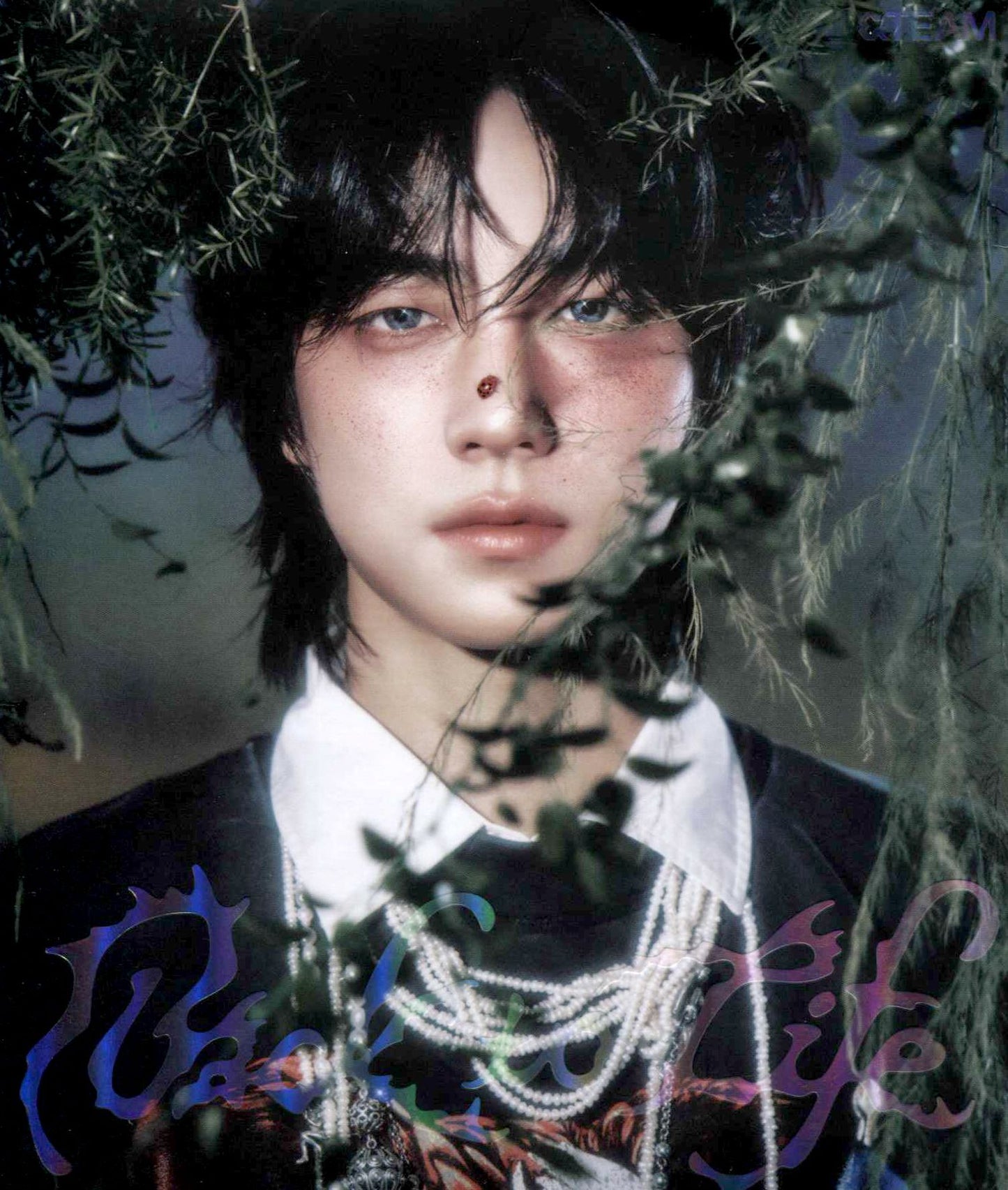 &Team Kr 1St Mini Album 'Back To Life' (Roar Ver.) (&Team)