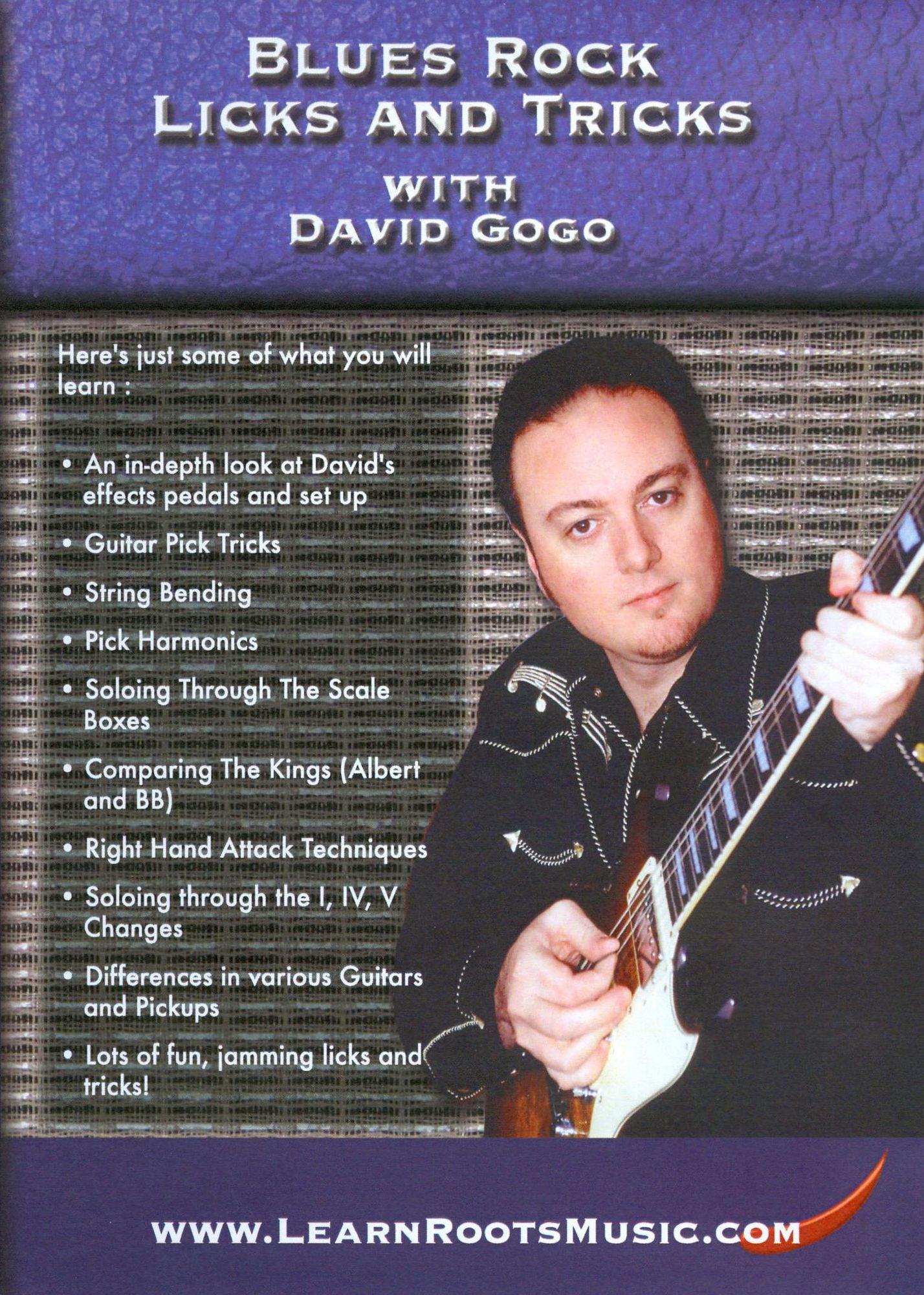 Blues Rock Licks and Tricks with David Gogo