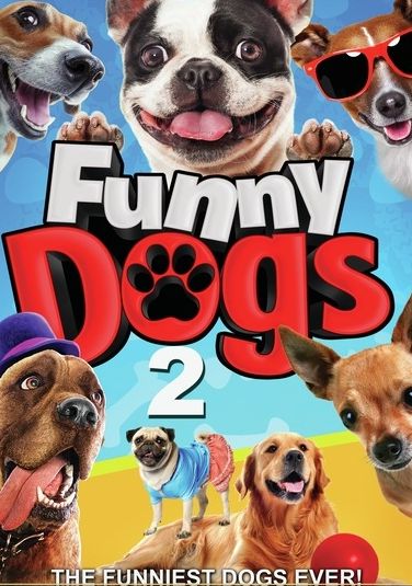 Funny Dogs 2