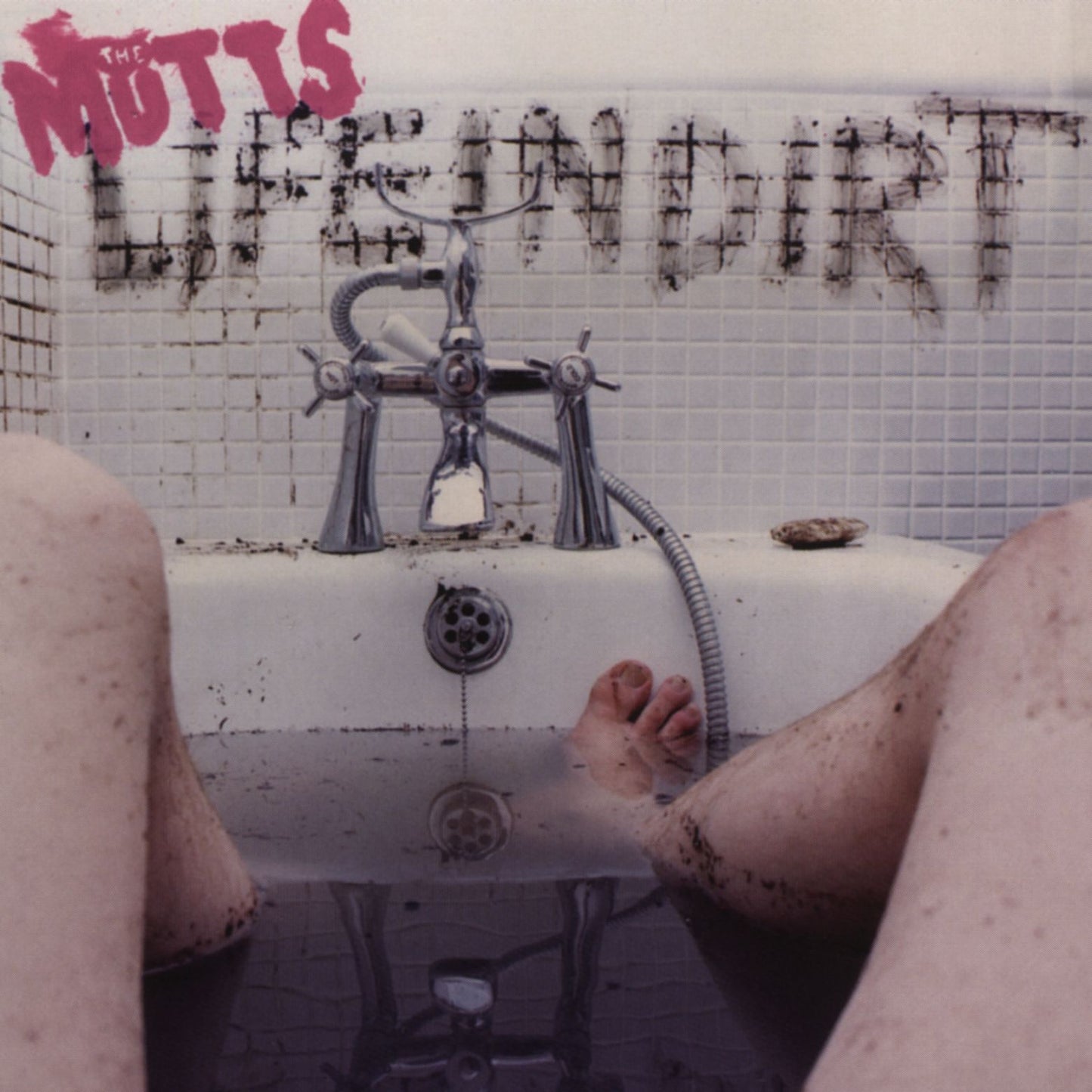 Life In Dirt