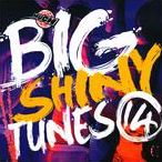 Big Shiny Tunes, Vol. 14