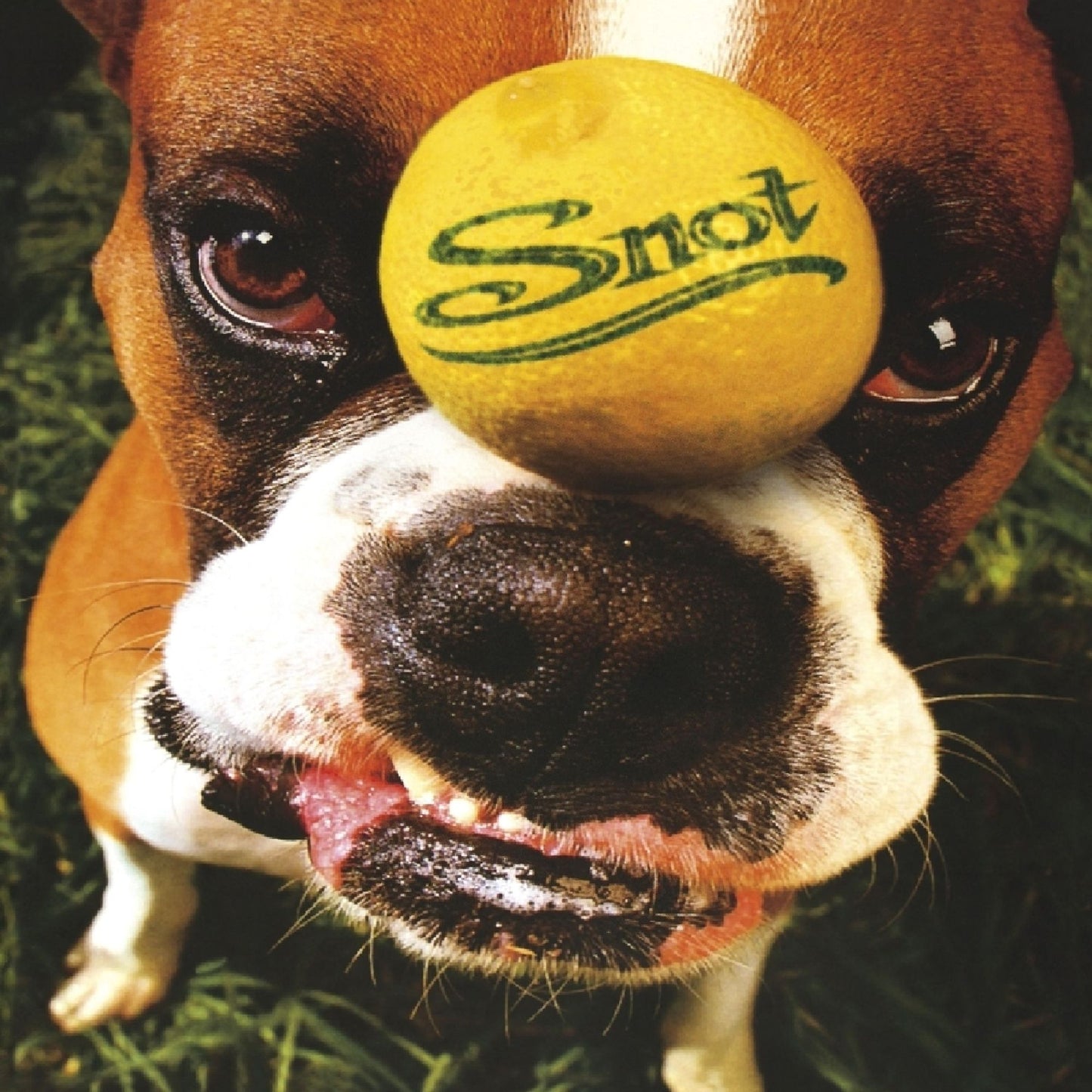 Get Some (Snot)