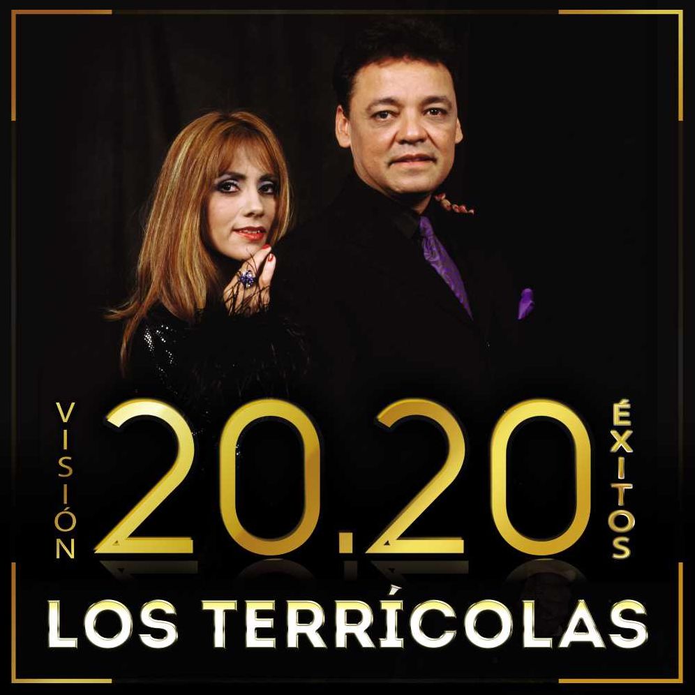 Vision 20. 20 Exitos