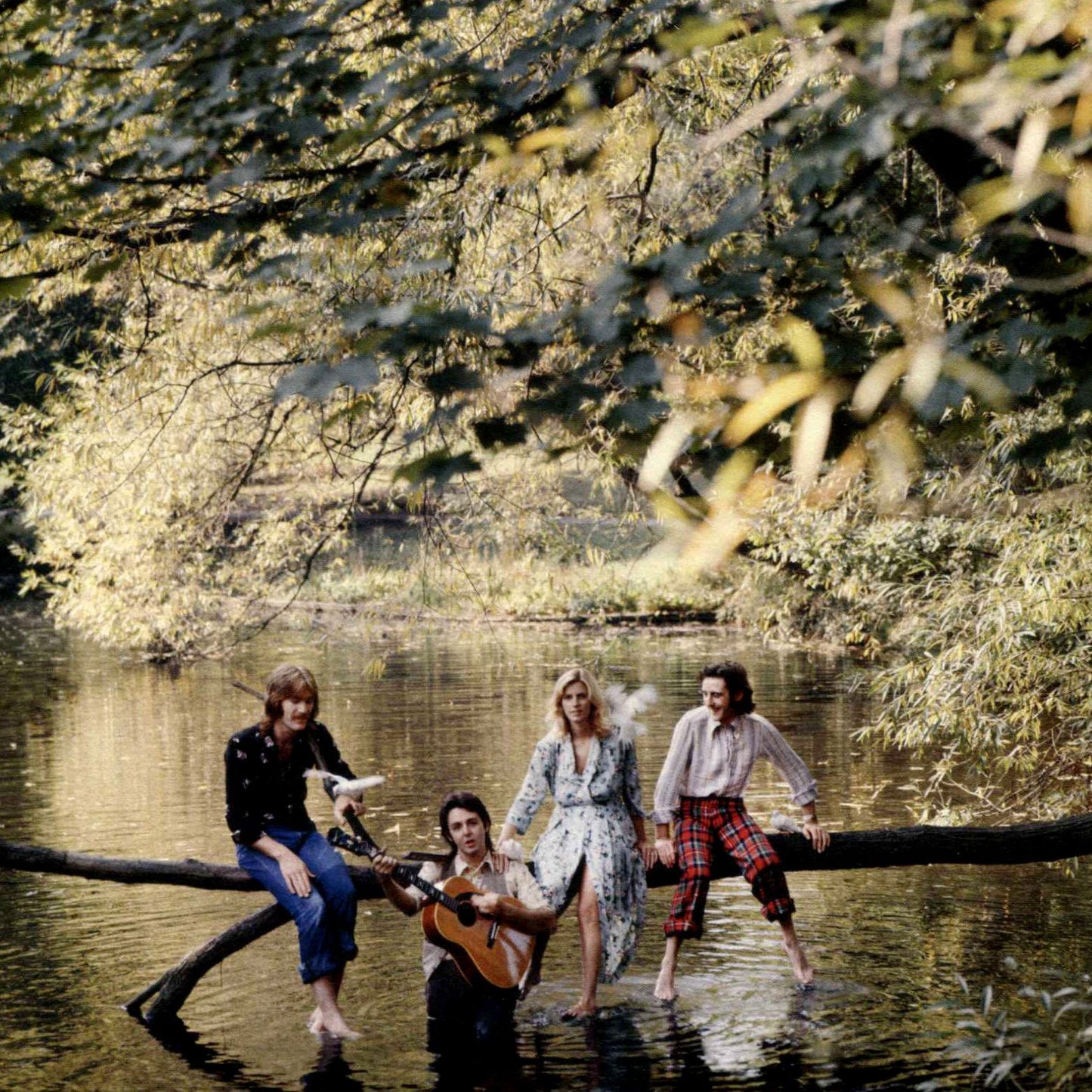 Wild Life (Paul Mccartney & Wings)