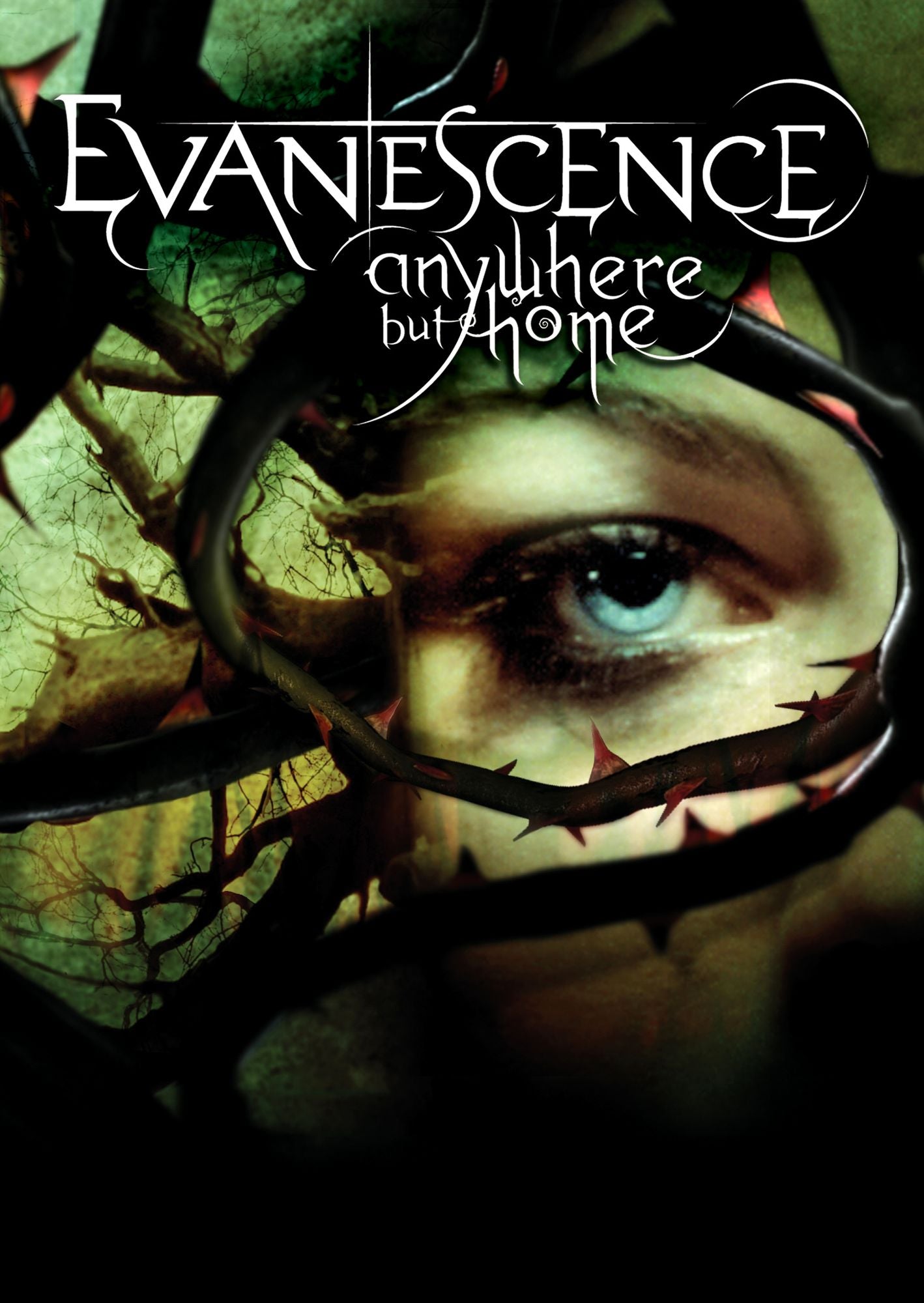 Evanescence: Anywhere But Home [DVD/CD]