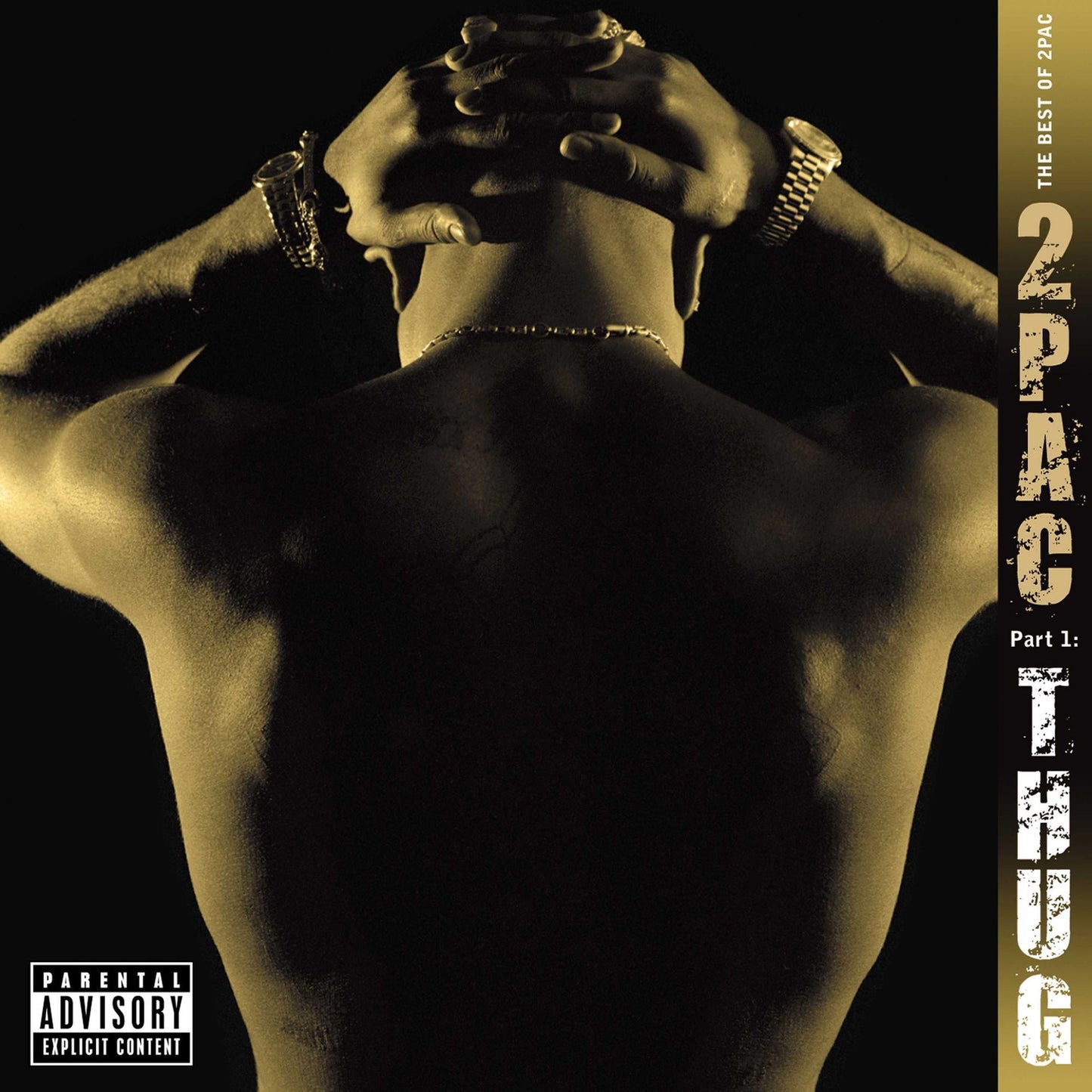 Best Of 2Pac - Part 1: Thug