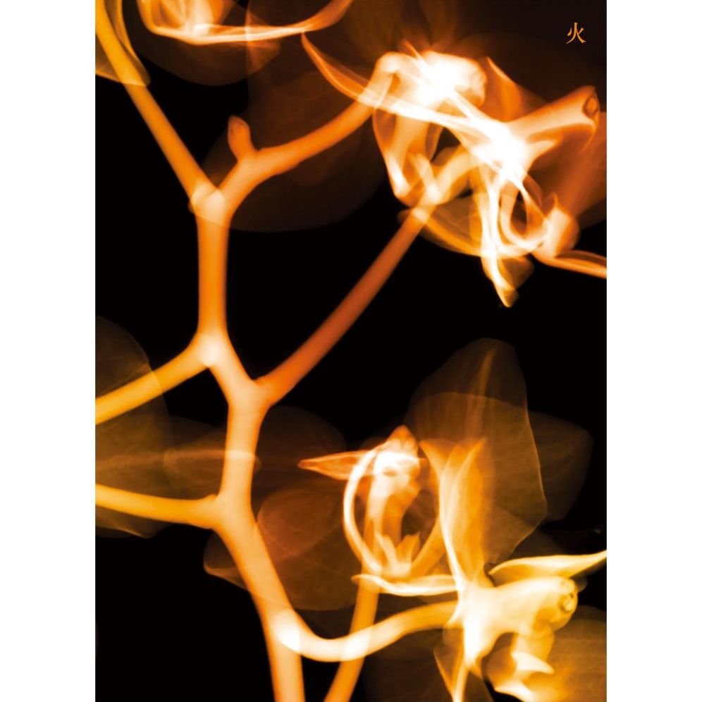 I Burn (Fire Version)