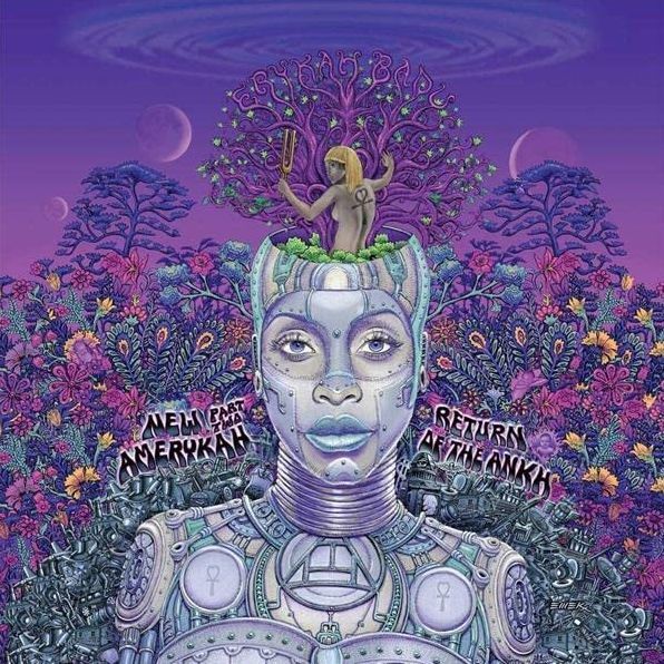 New Amerykah Part Two (Return Of The Ankh) (Colv)