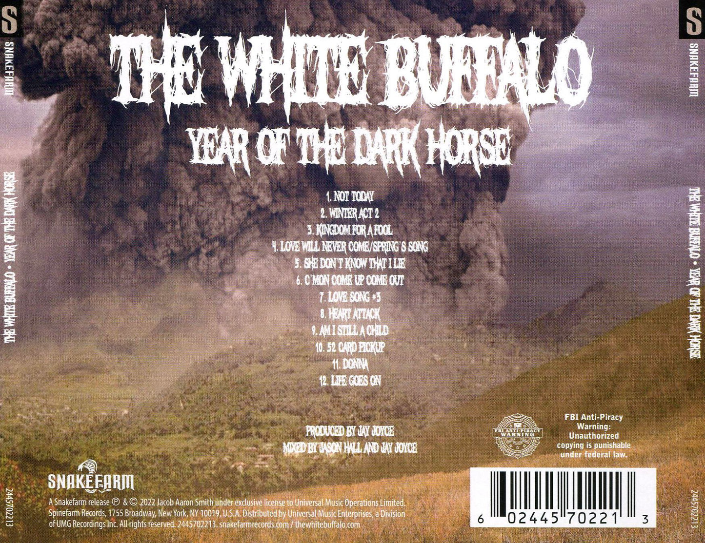 Year Of The Dark Horse