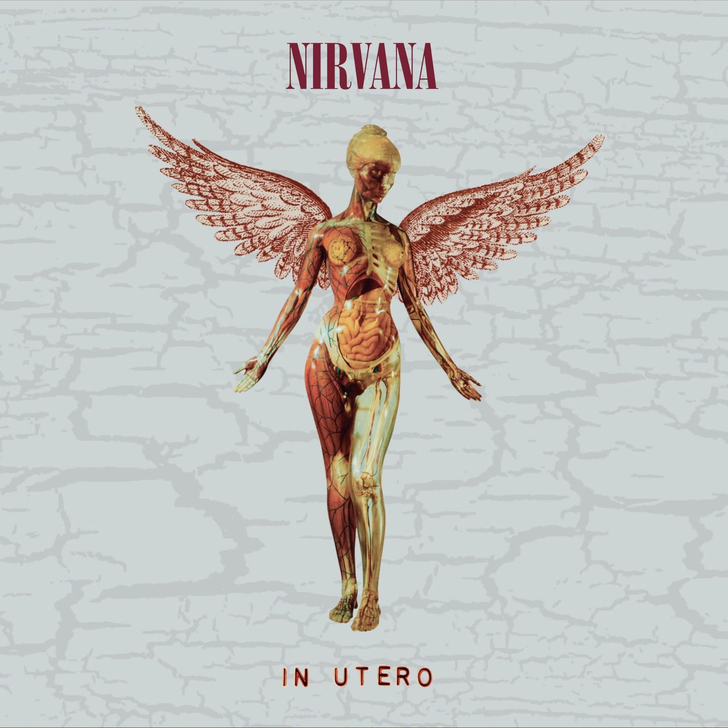 In Utero (Dlx) (Aniv)