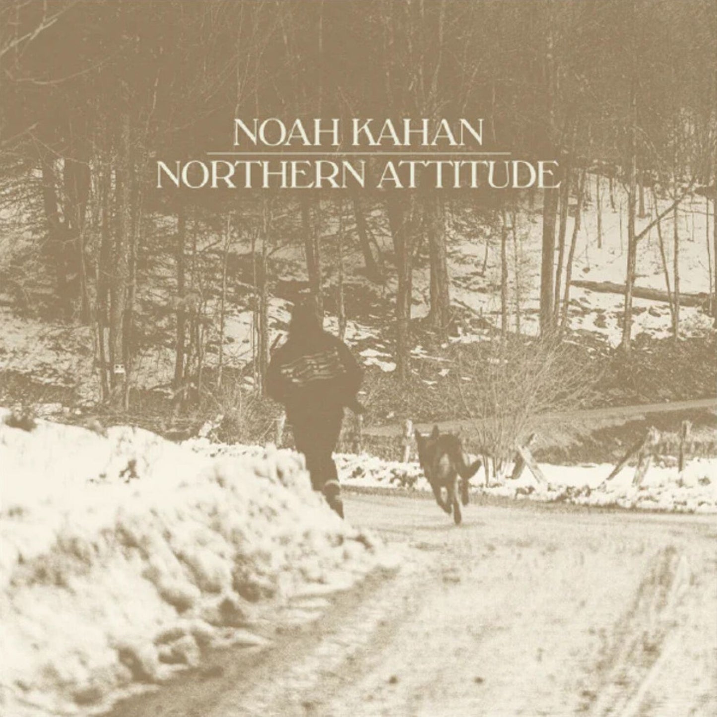 Northern Attitude (Noah Kahan)
