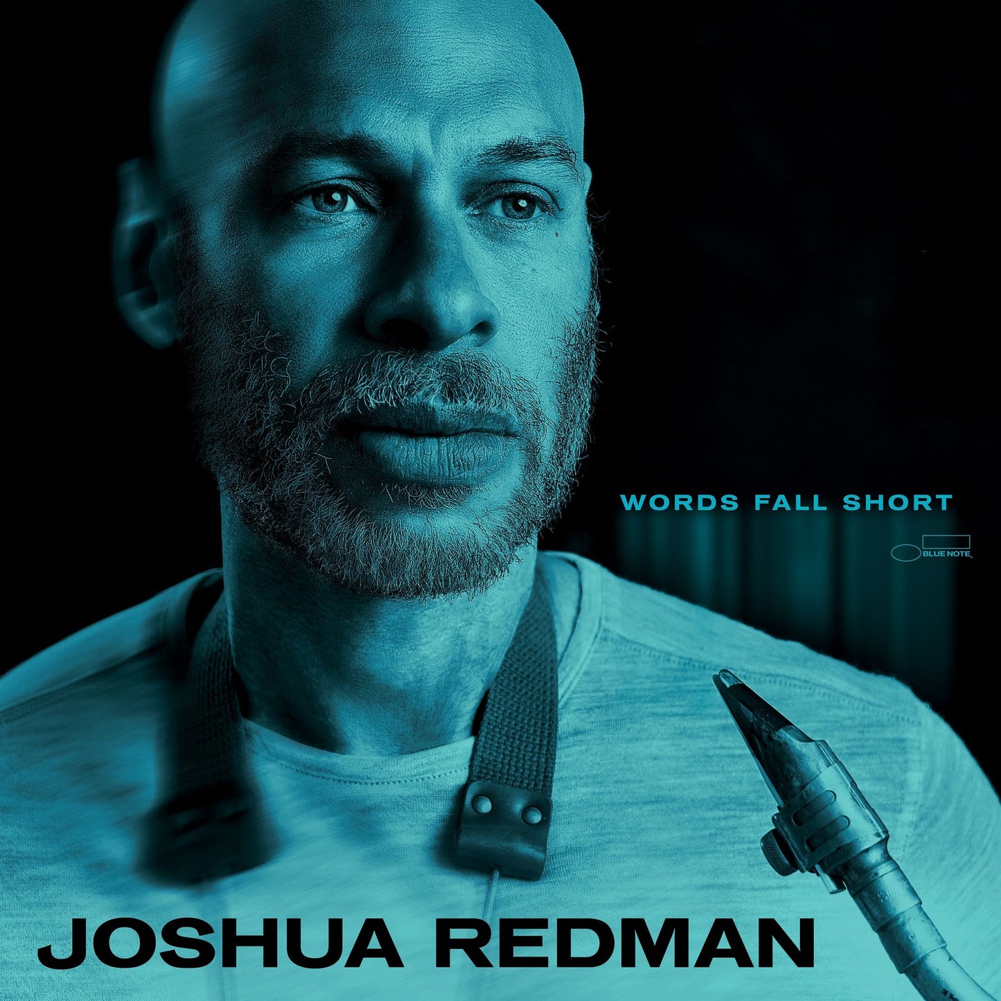 Words Fall Short (Joshua Redman)