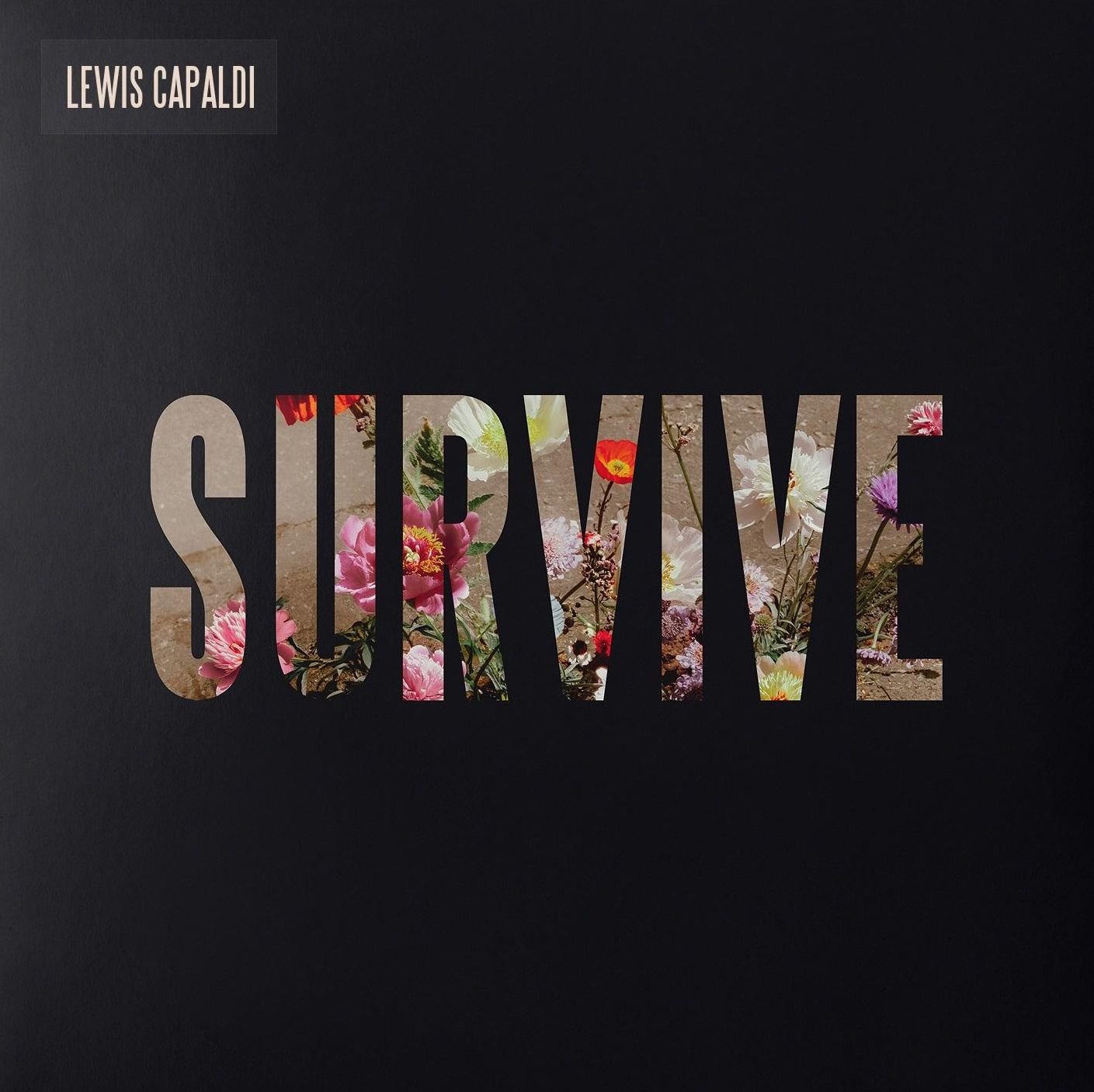 Survive (Lewis Capaldi)