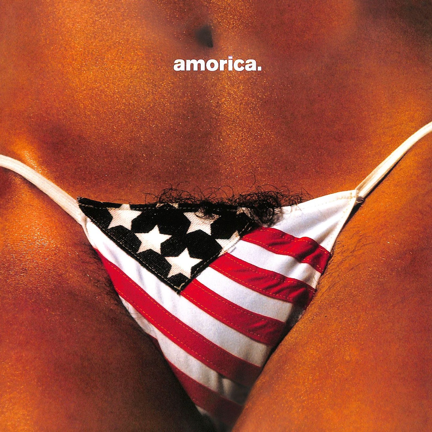 Amorica (Black Crowes)