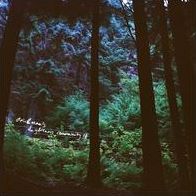 Stein & Mari's Daydream Community (Stein & Mari)