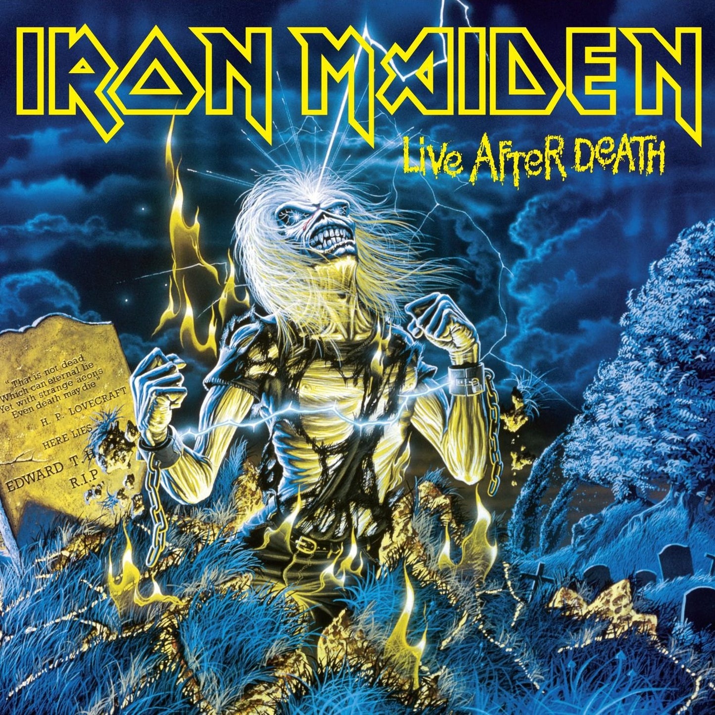 Live After Death [Picture Disc]