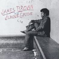 IN THE JUNGLE GROOVE