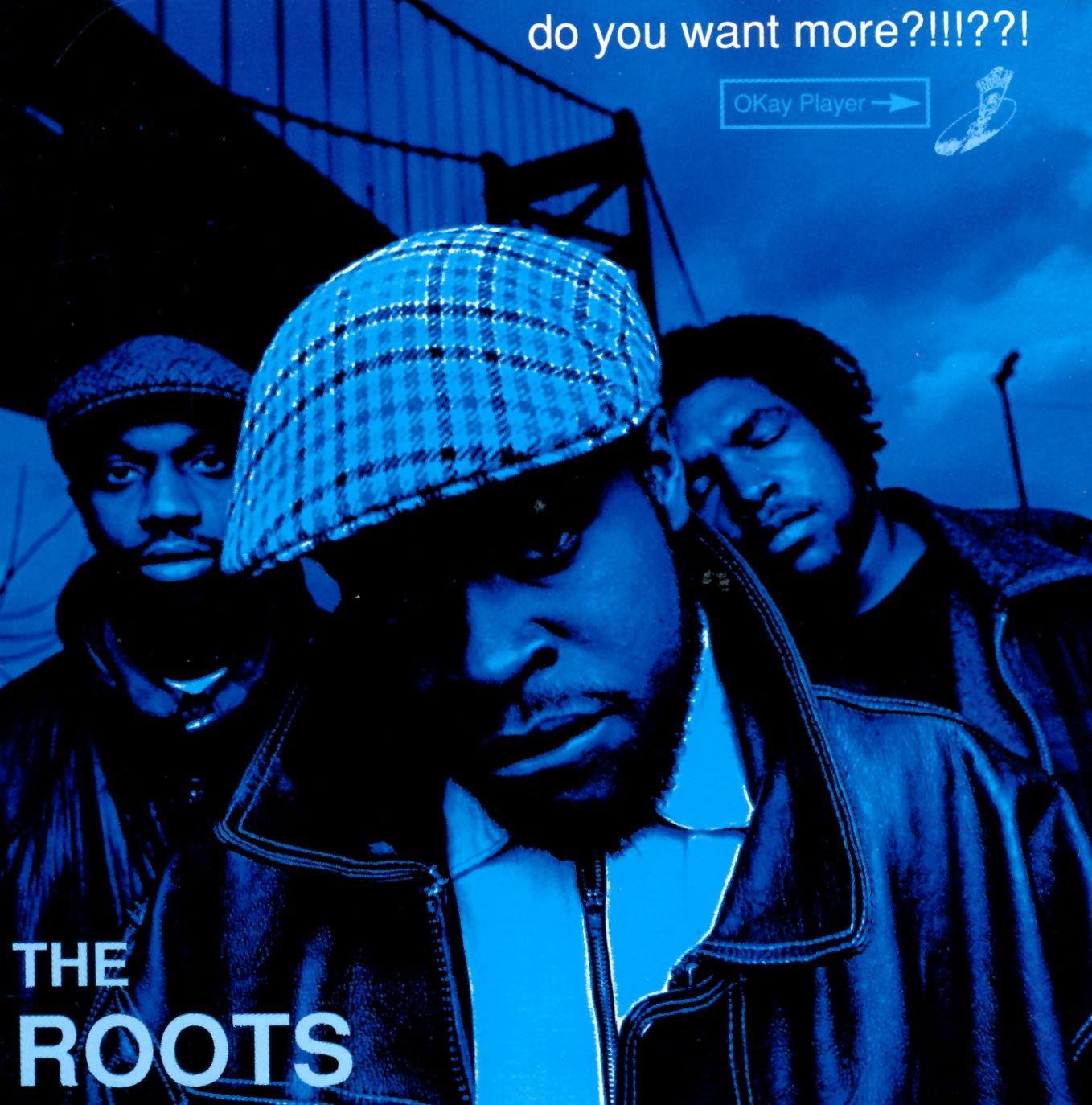 Do You Want More?!!!??! [Lp]