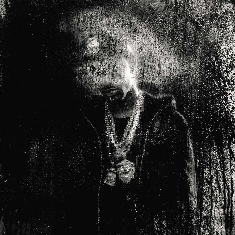 Dark Sky Paradise [Lp]