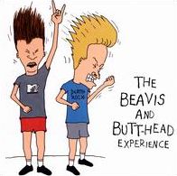 Beavis And Butt-head Experience [Lp]