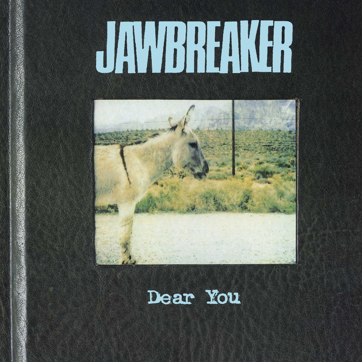Dear You [Lp]