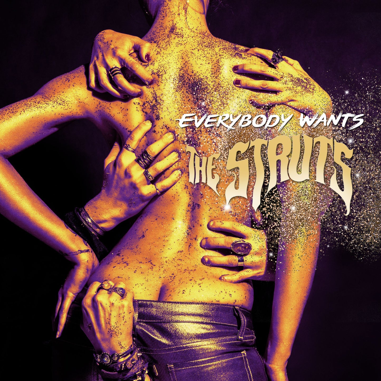 Everybody Wants [Lp]