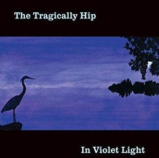 In Violet Light