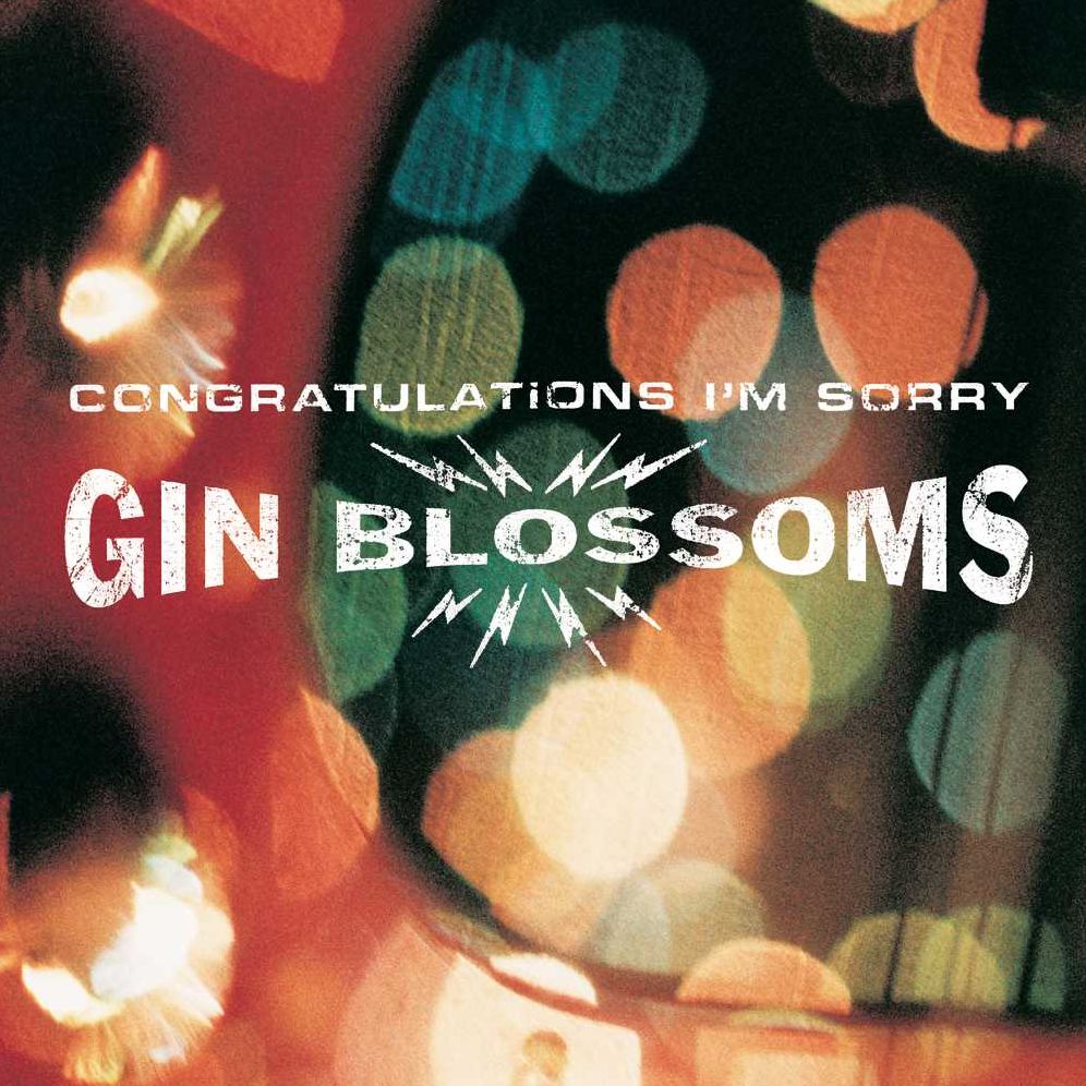 Congratulations I'm Sorry [Lp]