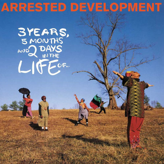 3 Years, 5 Months & 2 Days In The Life Of...[lp]