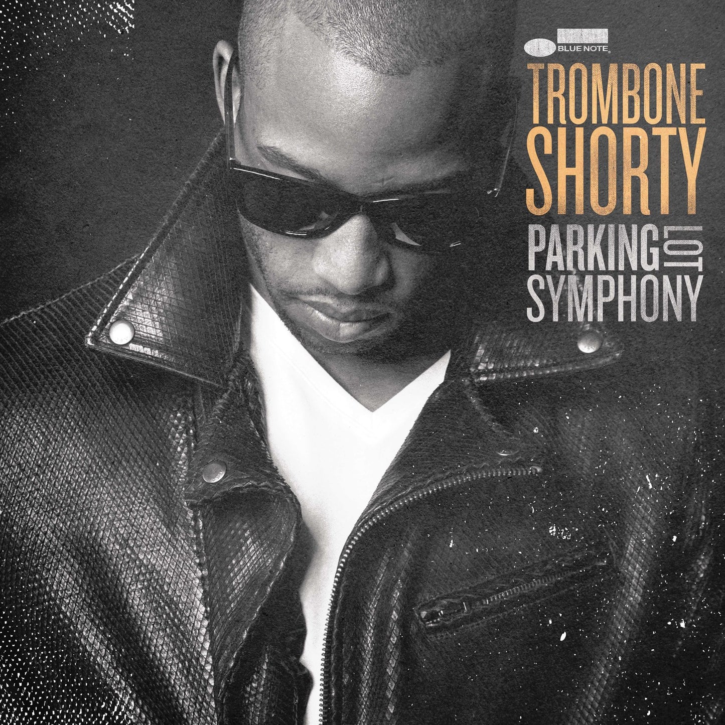 Parking Lot Symphony [Lp]