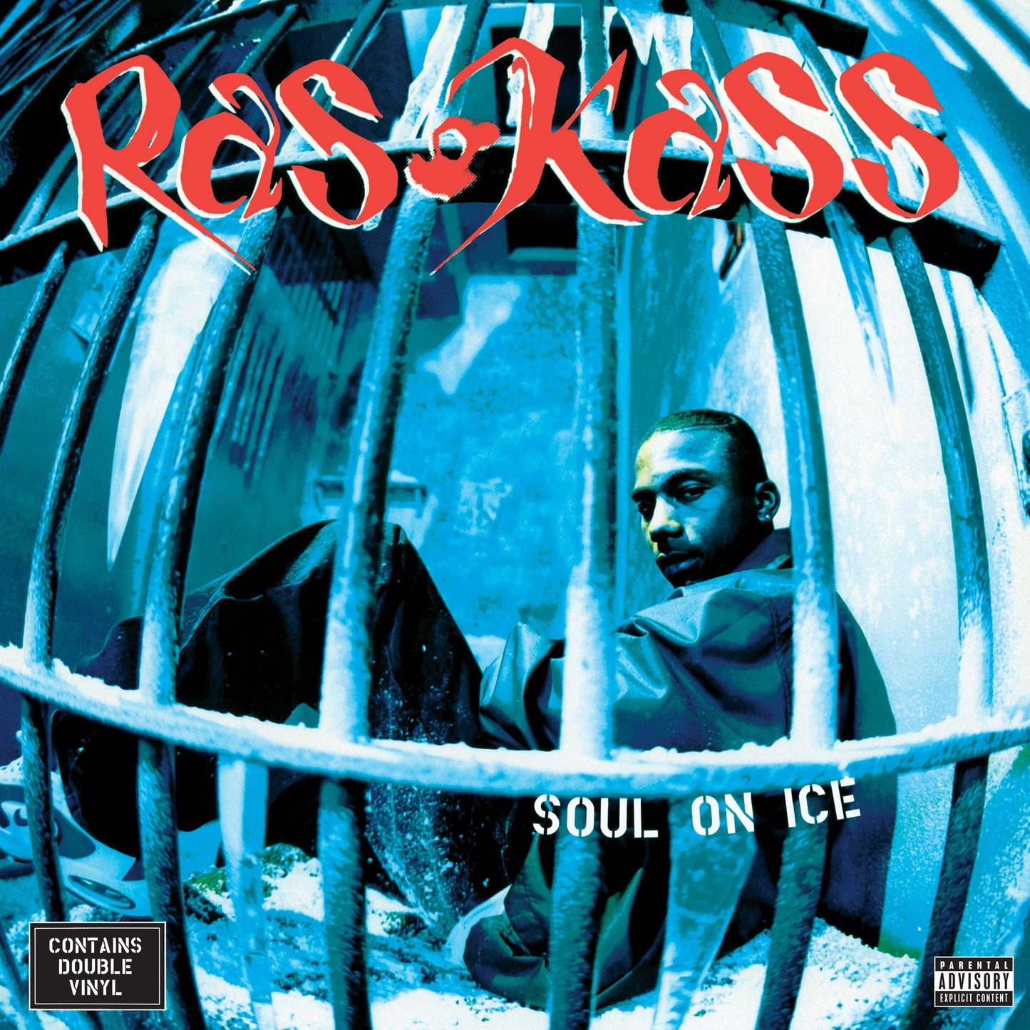 Soul On Ice
