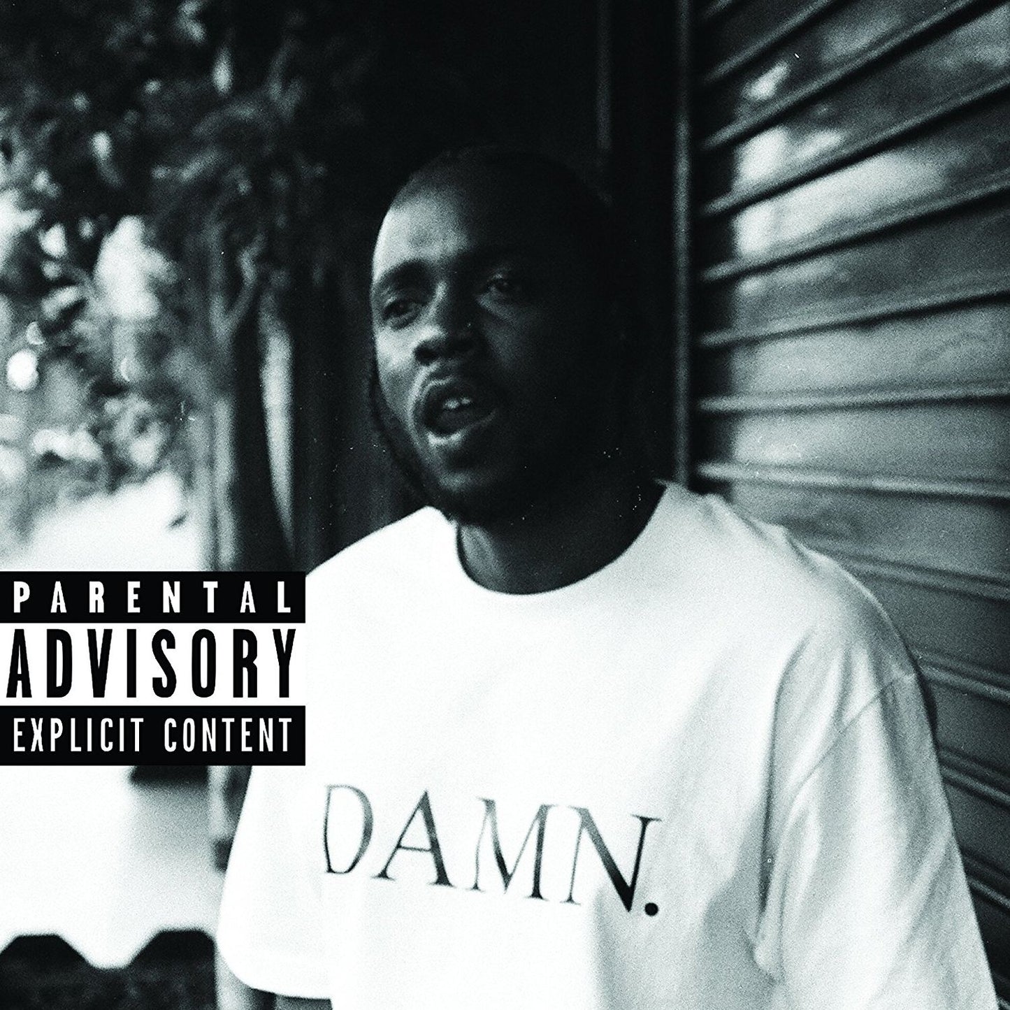 Damn Collectors Edition (Kendrick Lamar)
