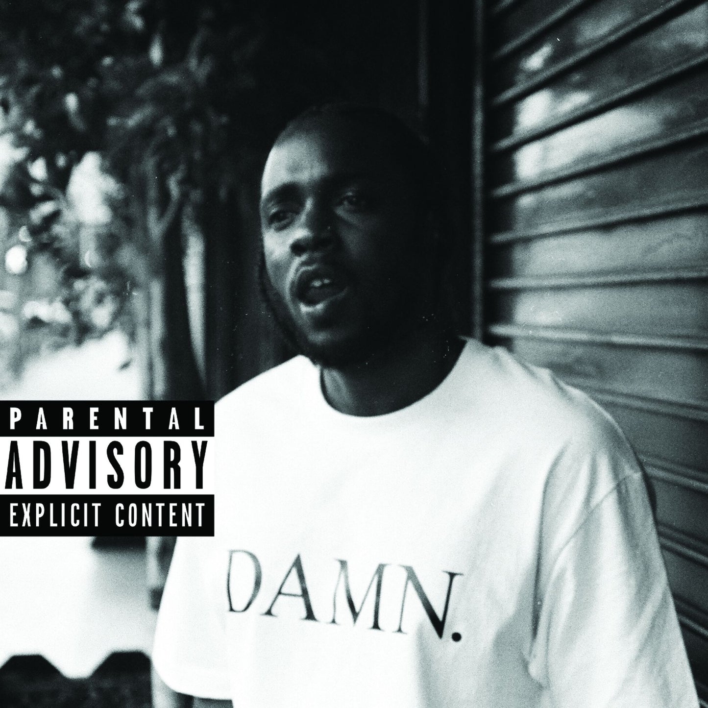 DAMN. [Collector's Edition]