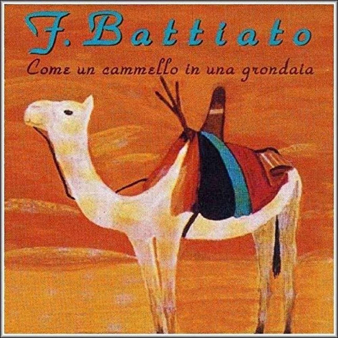 Come un Cammello in Una Grondaia
