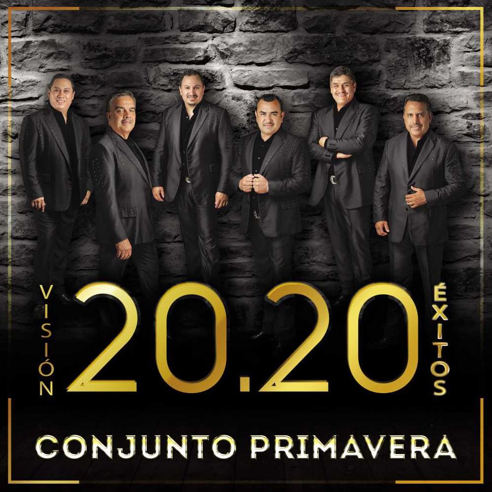 Vision 20. 20 Exitos
