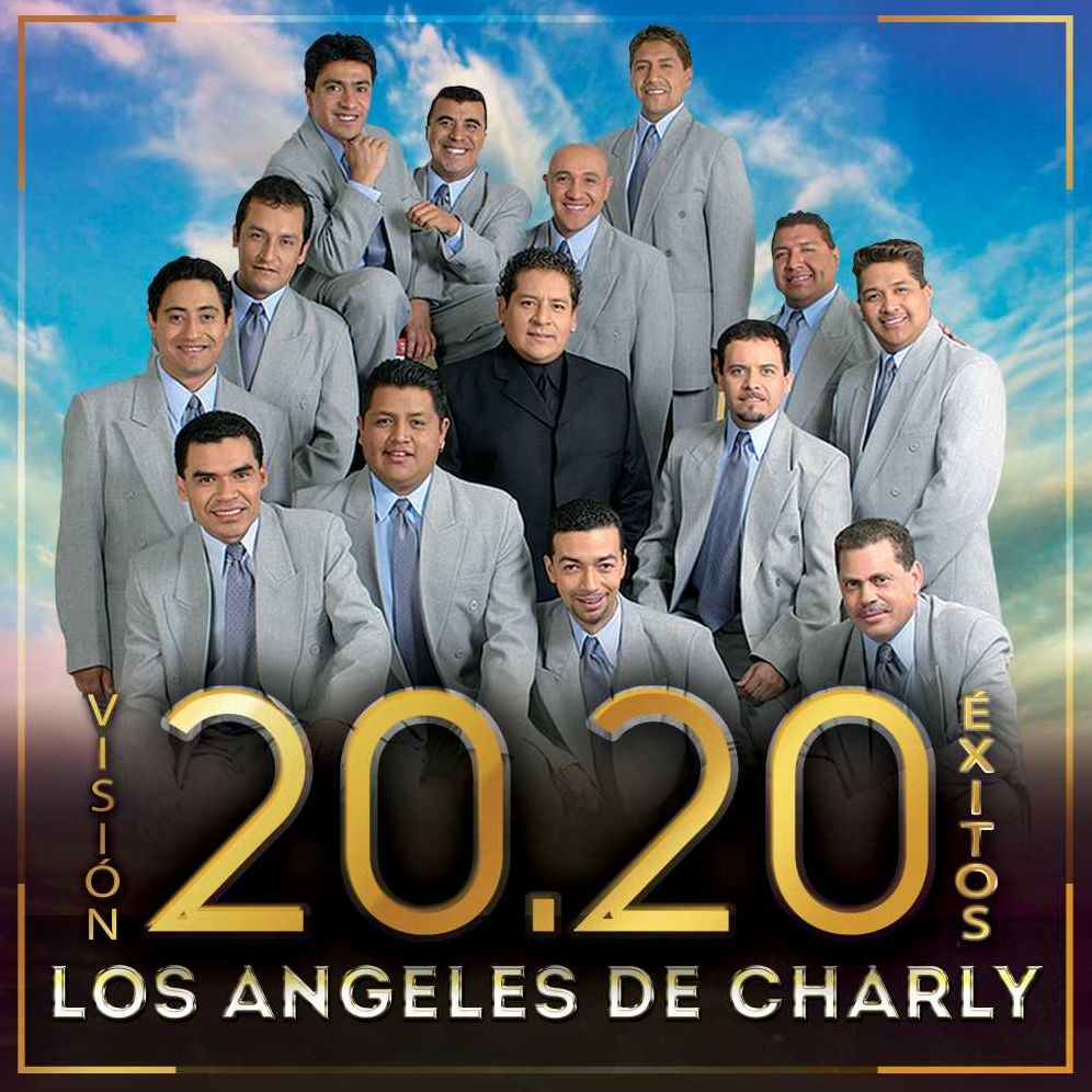 Vision 20. 20 Exitos