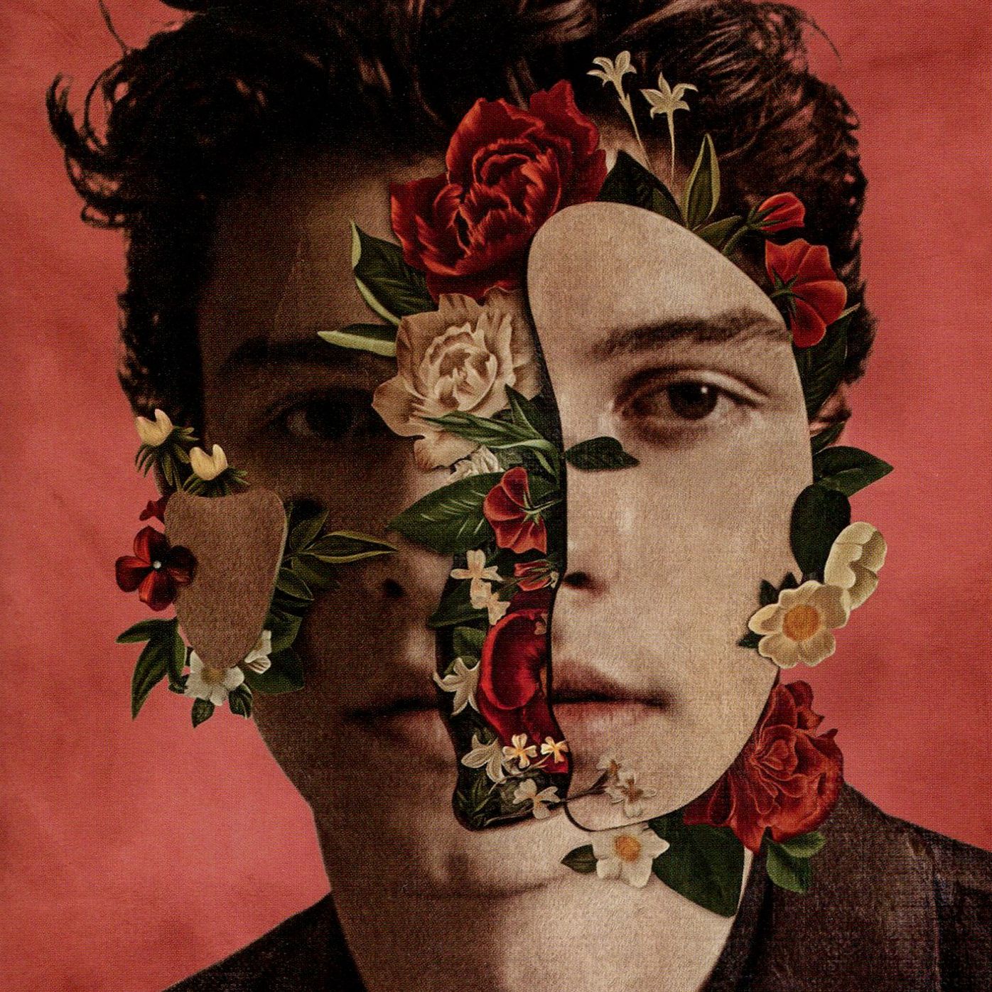 Shawn Mendes
