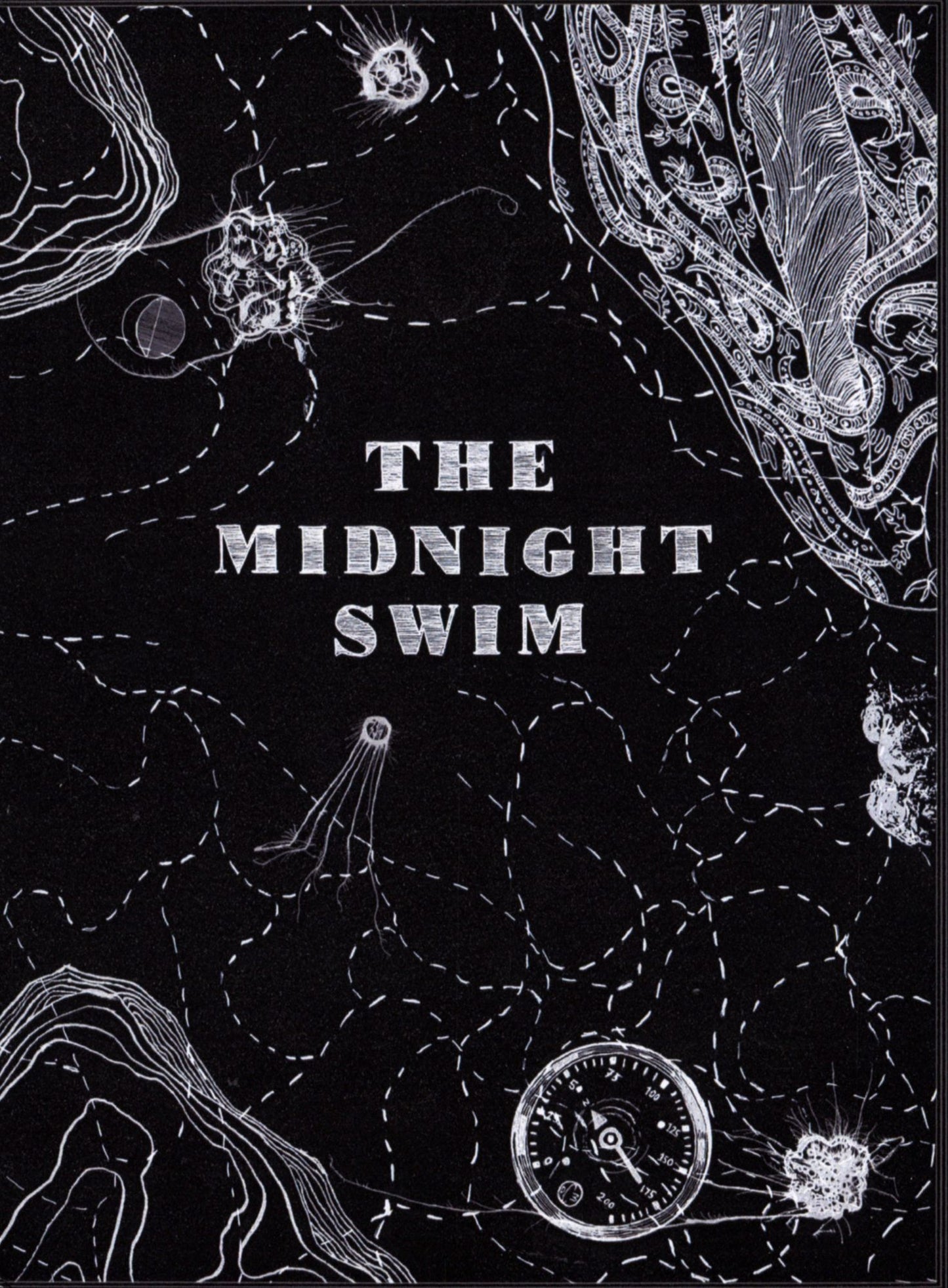 The Midnight Swim