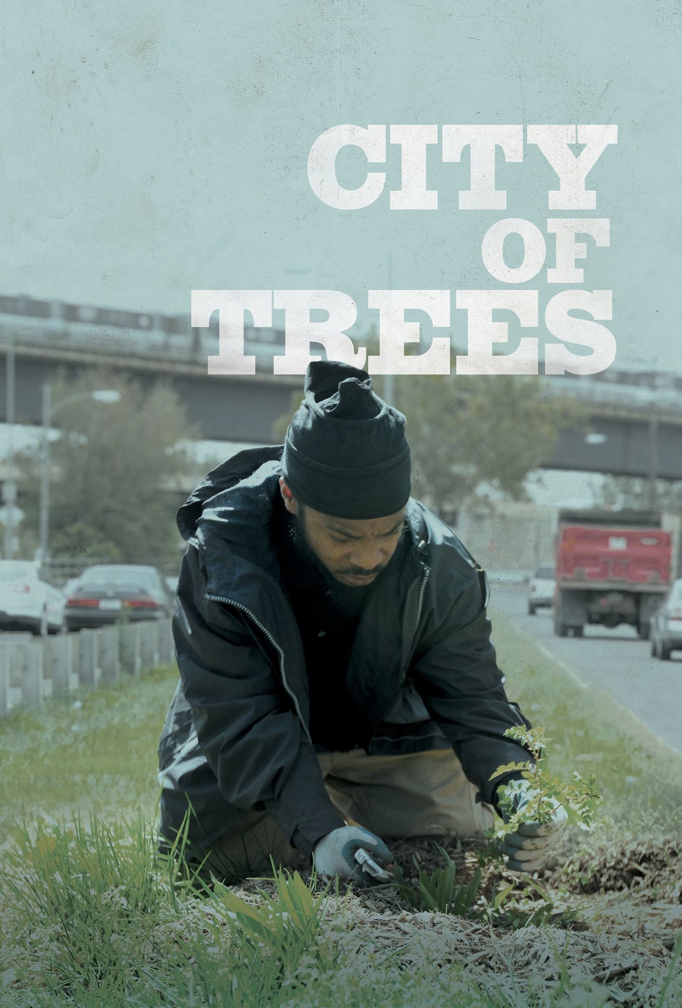 City Of Trees