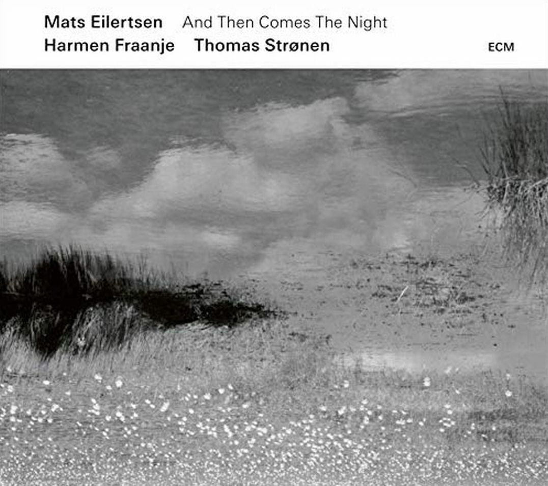 And Then Comes the Night