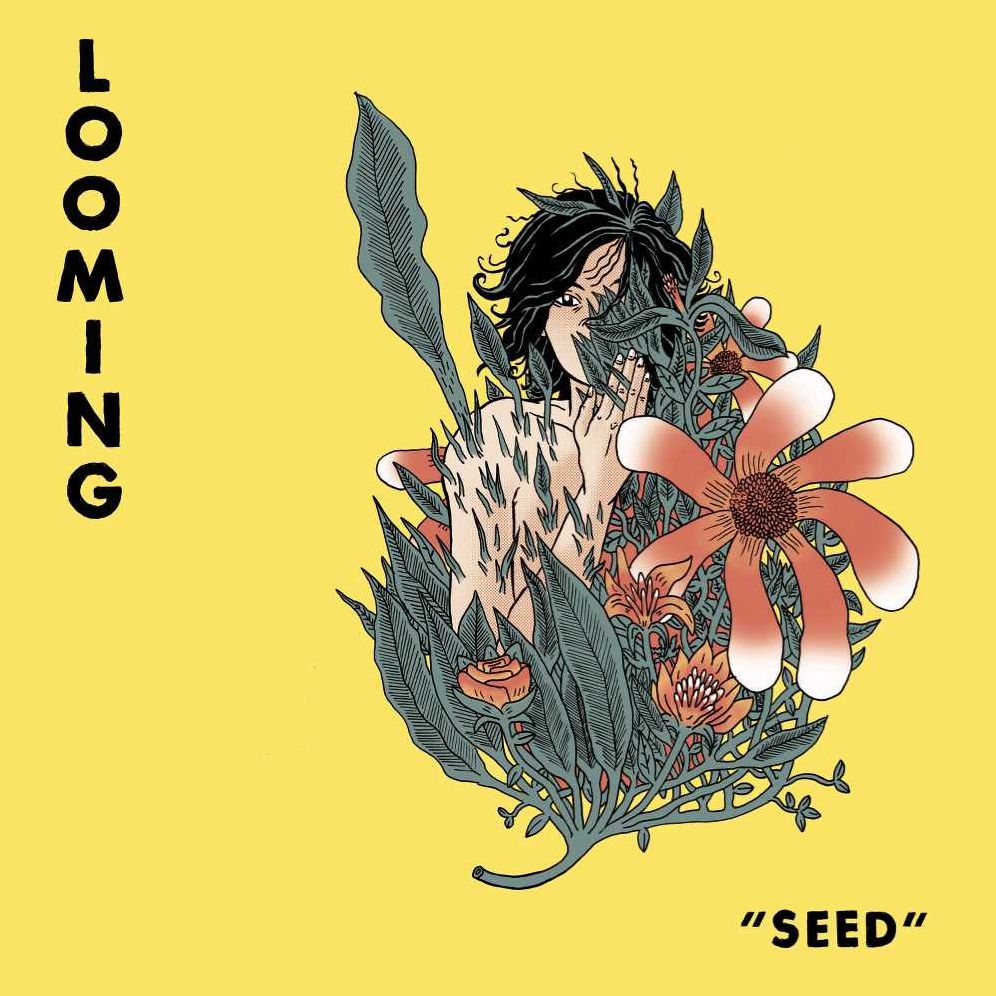 Seed