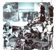 Rudiments Of Mutilation