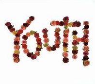 Youth [Lp]